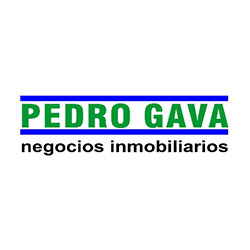 Pedro Gava