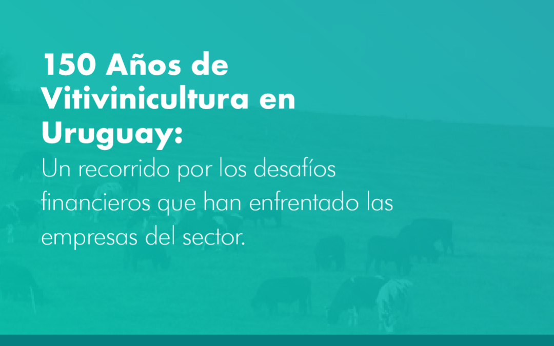 150 Años de Vitivinicultura en Uruguay: un recorrido por los desafíos financieros que han enfrentado las empresas del sector