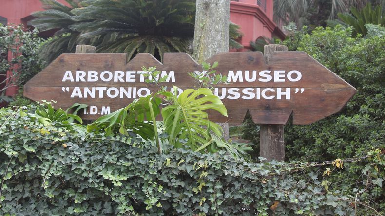 Arboretum Lussich continúa con propuestas durante setiembre